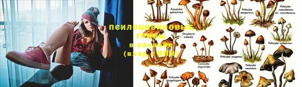 скорость Абаза