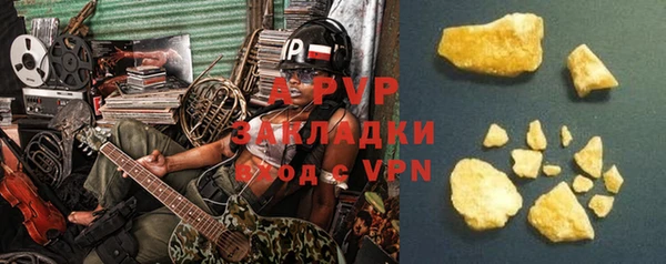 гидра Алексин