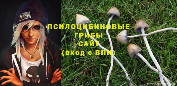 стафф Алзамай