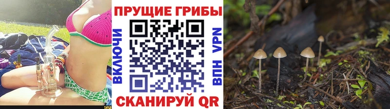 Псилоцибиновые грибы Magic Shrooms Среднеколымск